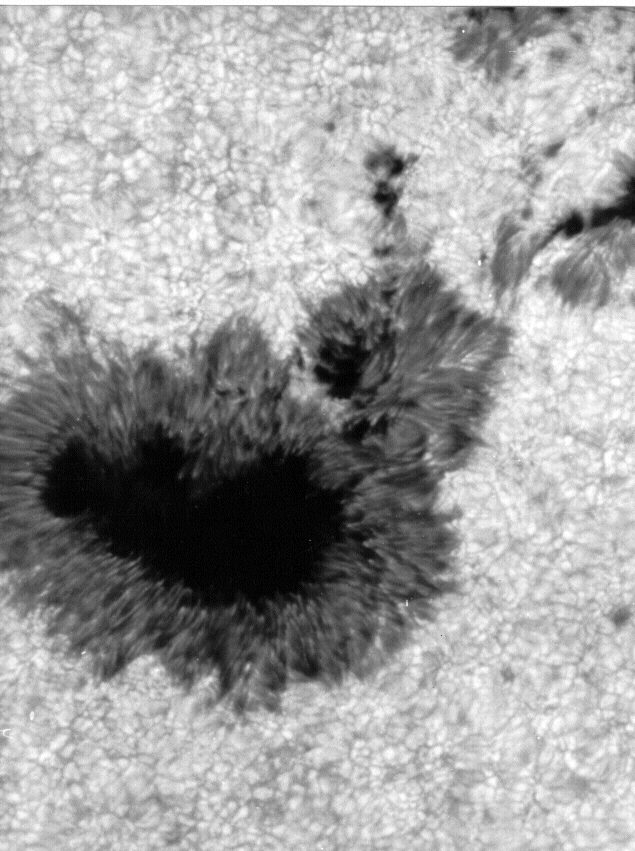 Image Fig. 4 Filaments of penumbrae (W. Lille)